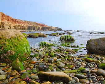 Digital nedladdning av fotografi i Point Loma Tidepool i San Diego, Kalifornien