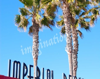 San Diego California Imperial Beach Palm Tree Blue Sky Photography Digital Download