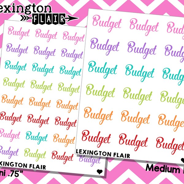 Budget Babe Planner - Etsy