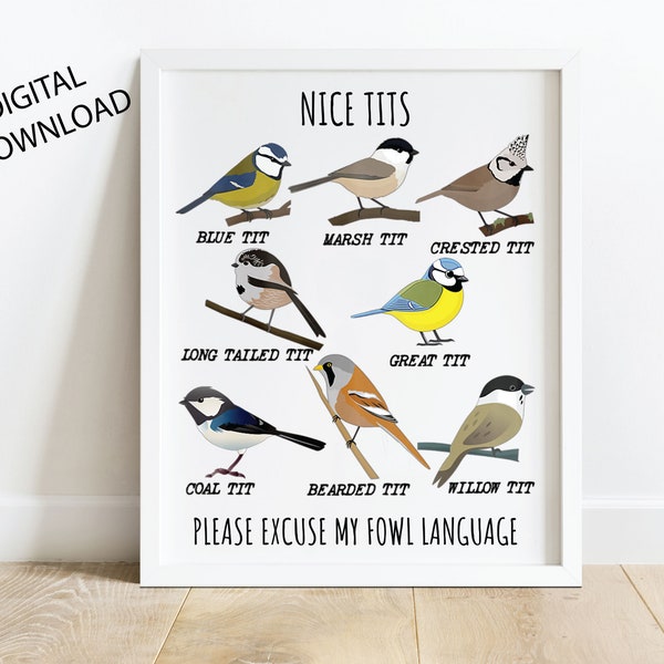 Nice Tits Bird Poster Digital Download, Downloadable Prints, Digital Poster, Bird Watching Poster, Bird Lover Poster, Decorative Poster