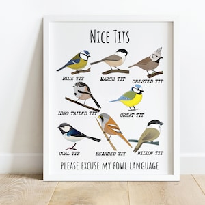 Nice Tits Poster, Tits Art Print, Birdwatcher Gift, Gardener Gift, Biologist Gift, Bird Lovers, Tits Birds, Birder, Nice Tits Bird, Gag Gift