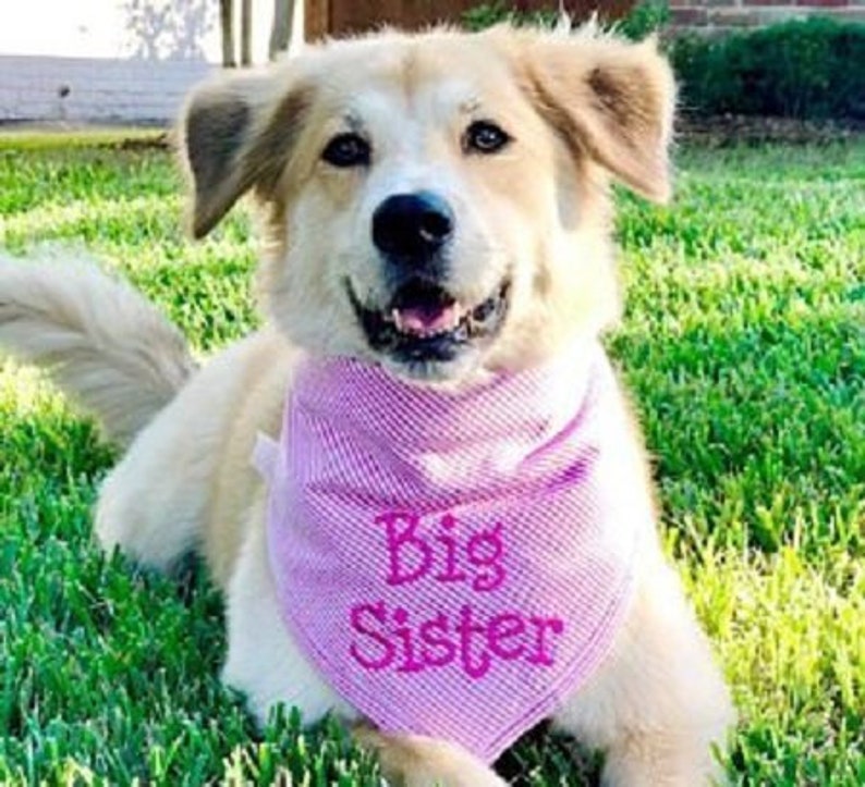 Big Brother Big Sister Dog Bandana. Pink Stripe Seersucker or Etsy