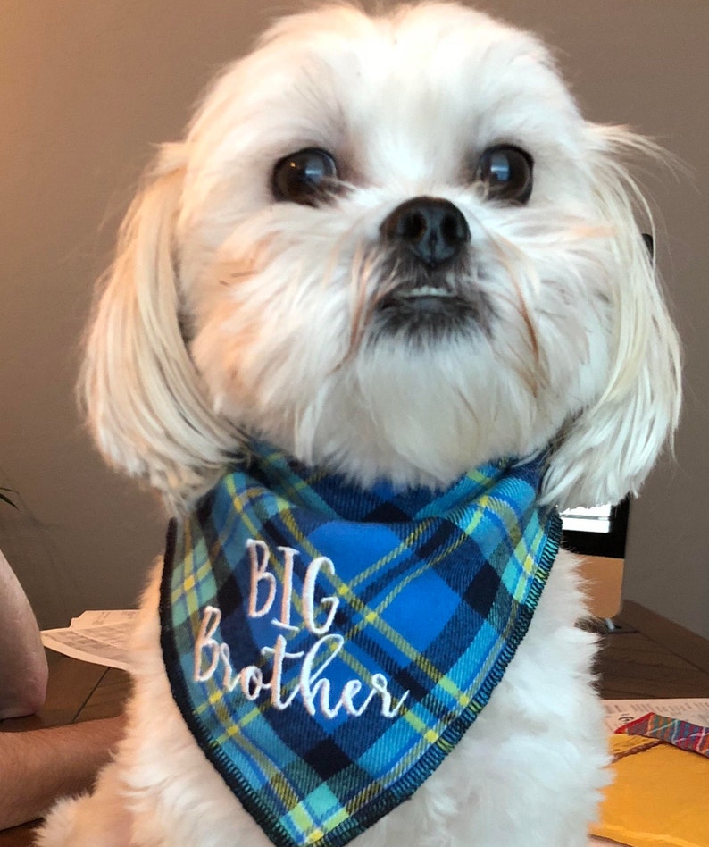 Rustic flannel plaid Great for Pregnancy pics Big Brother or Sister monogram on the front Big Sis too Big Brother Dog Bandana