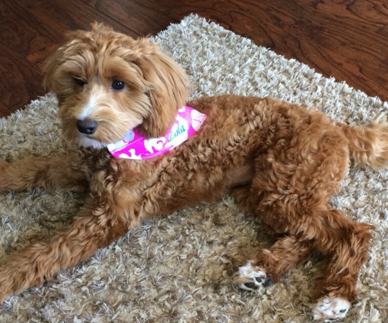 Personalized Dog Bandana. Lilly P pink elephants on the front Etsy