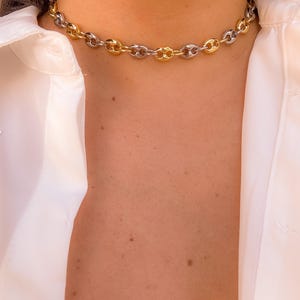 May include: A gold and silver-toned chain necklace with a linked design. The necklace is worn against a person's skin and a white collared shirt.