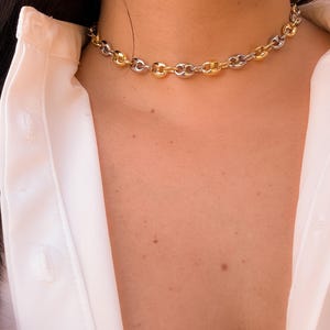May include: A gold and silver-toned chain necklace. The necklace is composed of alternating gold and silver links. The necklace is worn around the neck, and the top of a white shirt is visible in the background.