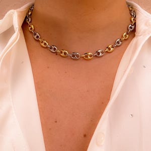May include: A gold and silver-toned chain necklace. The necklace is composed of alternating gold and silver links, creating a two-tone effect. The chain is worn against a white collared shirt.
