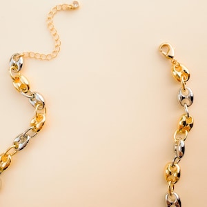 May include: A gold and silver-toned chain necklace with a lobster clasp and an adjustable chain. The necklace features a series of oval-shaped links in alternating gold and silver colors. A small, clear gem is set at the end of the adjustable chain.