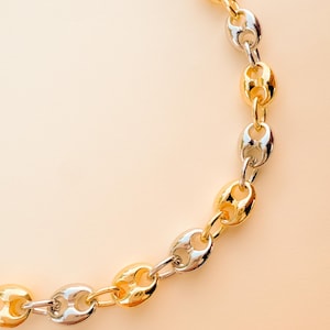 May include: A gold and silver-toned chain necklace. The necklace features a series of oval-shaped links, alternating between gold and silver. The chain is displayed against a light beige background.