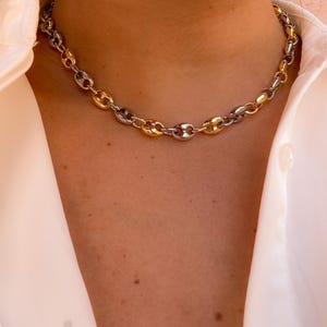May include: A two-tone chain necklace with gold and silver links. The necklace is made of a series of oval-shaped links, alternating between gold and silver. The necklace is worn around the neck, and the clasp is not visible.