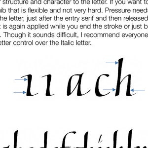 Italic Calligraphy Learning Guide image 5