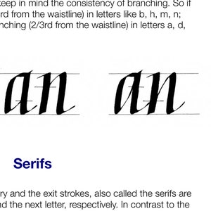 Italic Calligraphy Learning Guide image 3