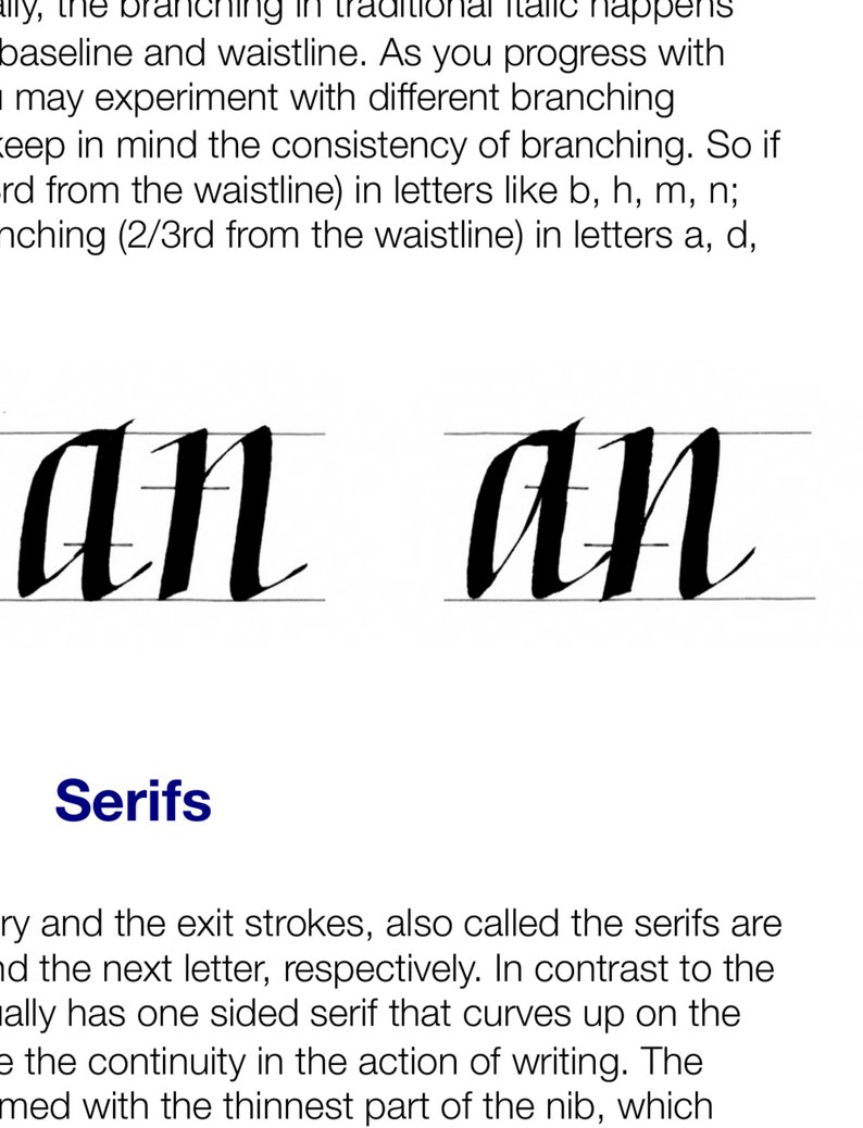 Italic Calligraphy Learning Guide image 3