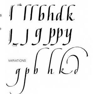 Italic Calligraphy Learning Guide image 4