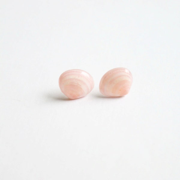 Small real seashell jewerly, seashell earrings, ocean, sea, pink earrings, seashell stud earrings, seashell posts, small earrings