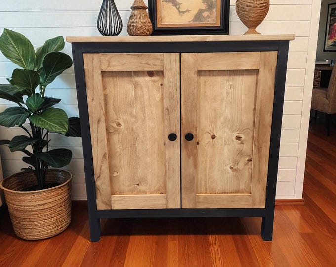 Modern 2-Door Accent Cabinet – Black & Special Walnut