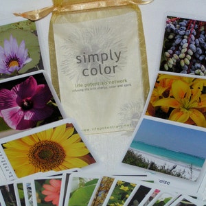 Simply Color Card Deck image 2