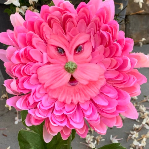 Alice in Wonderland Talking Flowers Pink MUM" By Sutherland New 2021