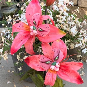 Alice im Wunderland (non) Sprechende Blumen Tiger Lilie Zwillinge in Pink SUTHERLAND