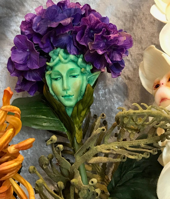 Characters Alice In Wonderland Flowers Luxe Edition Monkey Face Orchids Sutherland Woodland Resort Com