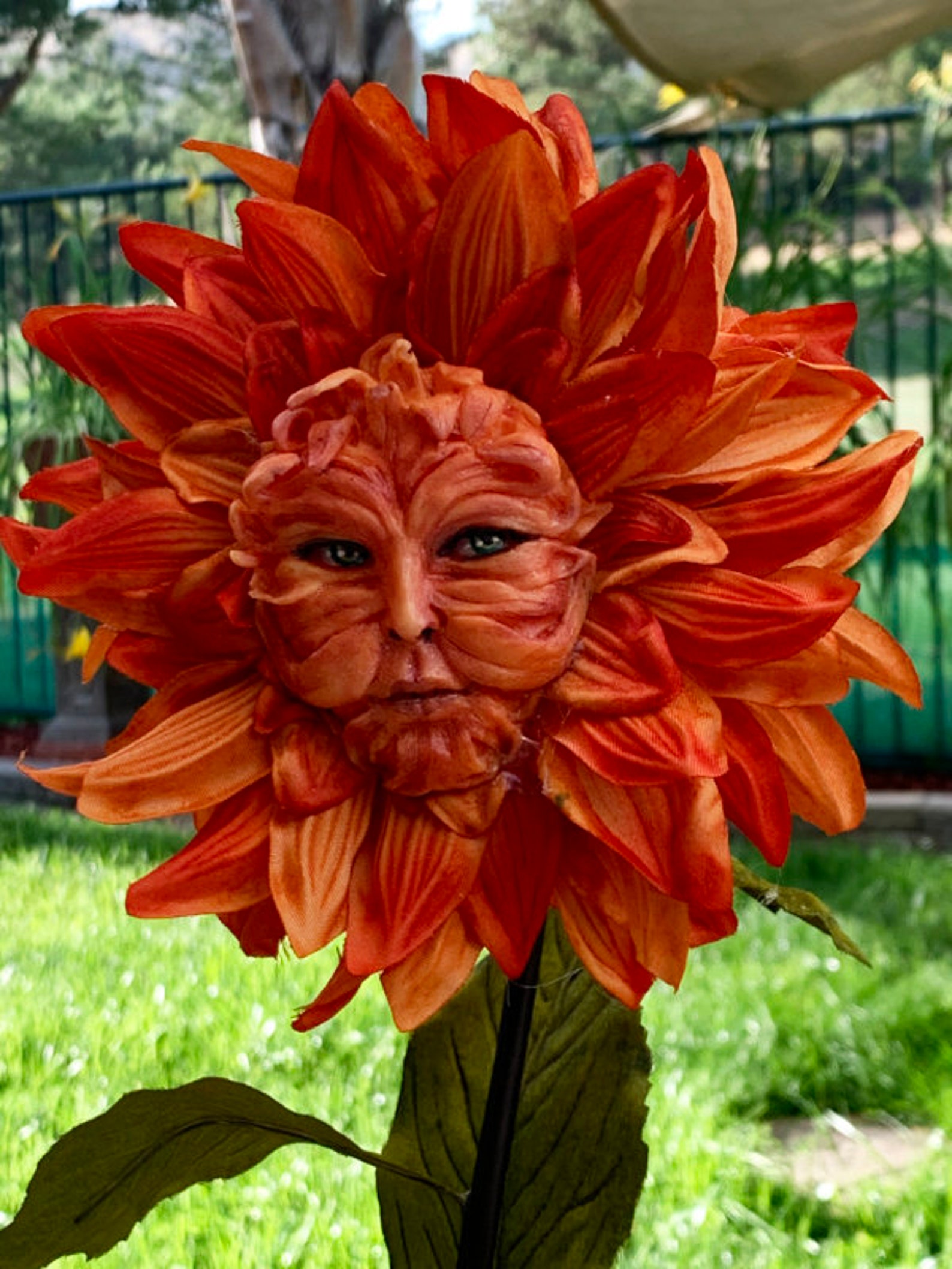 Fiori Di Alice Nel Paese Delle Meraviglie