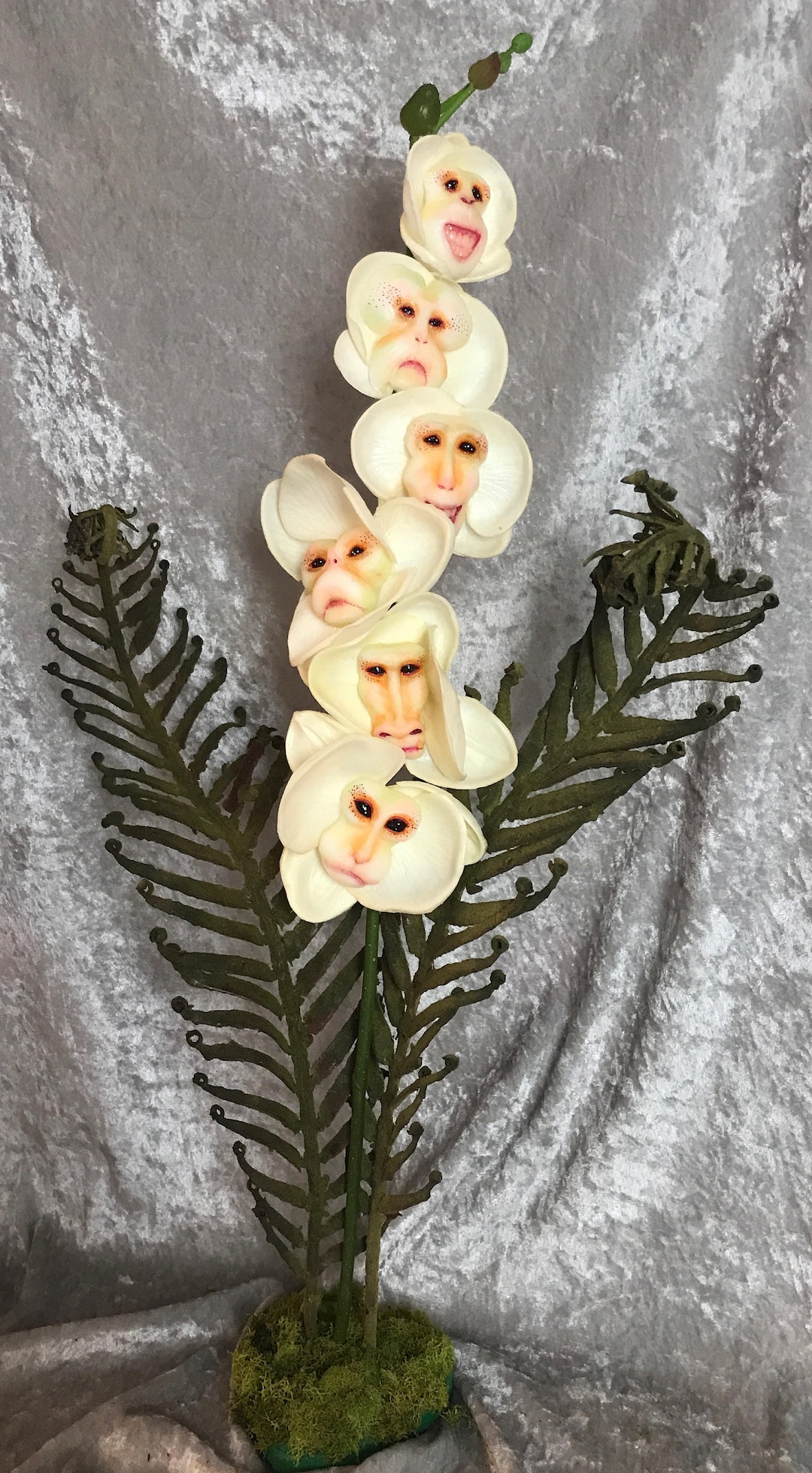 Alice in Wonderland (non)flowers 