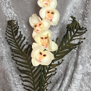 Alice in Wonderland (non)Flowers "LUXE" EDITION Monkey Face Orchids by SUTHERLAND ~ Guardians of the Garden