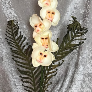 Alice in Wonderland (non)Flowers &quot;LUXE&quot; EDITION Monkey Face Orchids by SUTHERLAND ~ Guardians of the Garden
