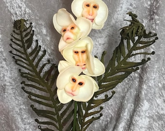 Alice in Wonderland (non)Flowers "LUXE" EDITION Monkey Face Orchids by SUTHERLAND ~ Guardians of the Garden