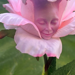 MUSING PINK ROSE Alice in Wonderland (non) talking flowers by Sutherland for parties, props and vignettes