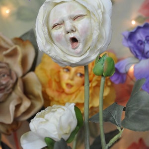 Alice in Wonderland (non) Talking Flowers &quot;DOZY&quot; by Sutherland