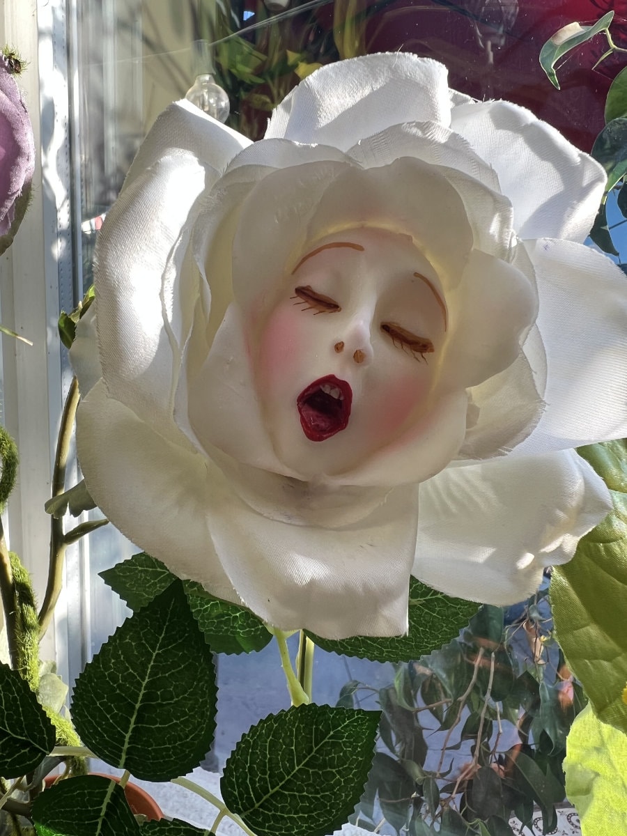 ××鬼嫁××　DAC 「Alice and Roses」他 Alice in Wonderland (non) Talking Flowers 