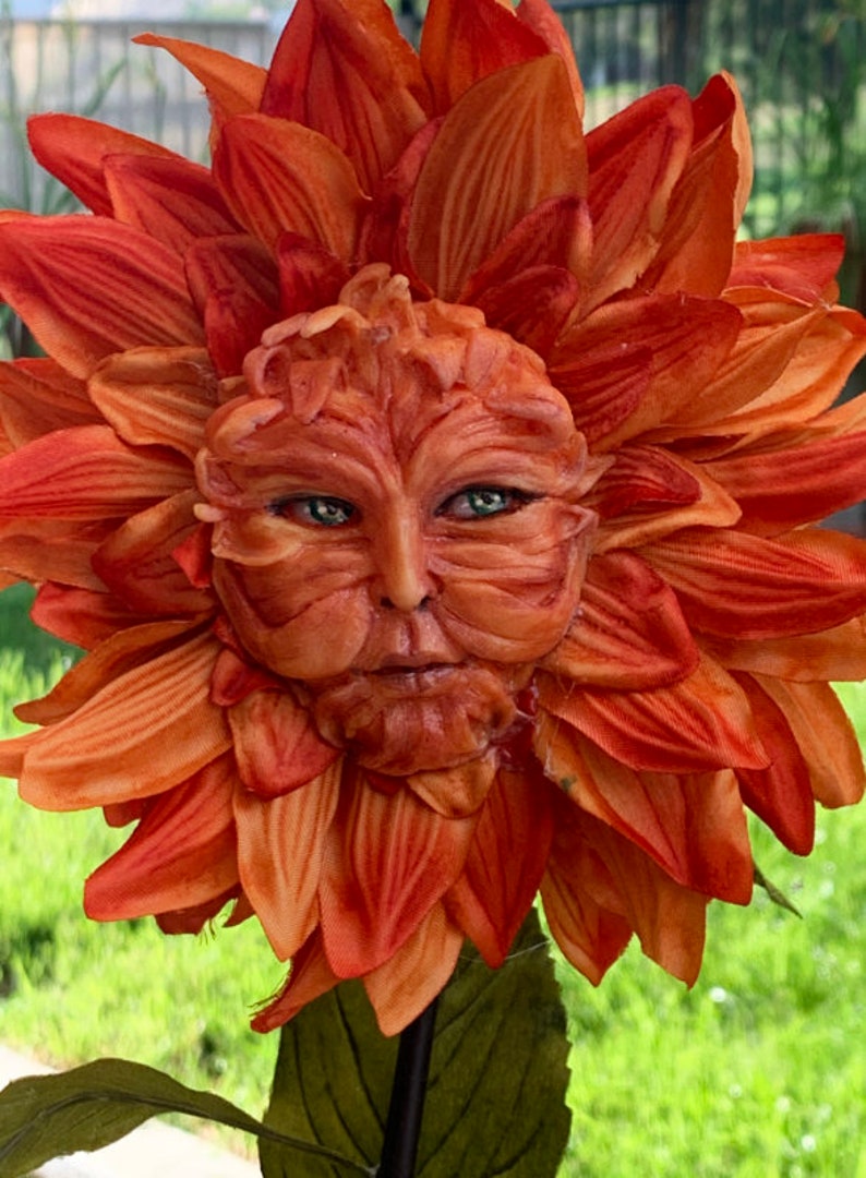 Fiori Di Alice Nel Paese Delle Meraviglie