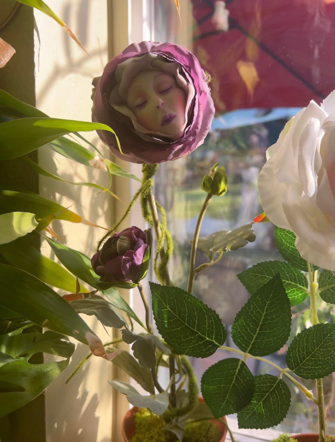 Alice in Wonderland (non)talking Flowers (POTTED) 