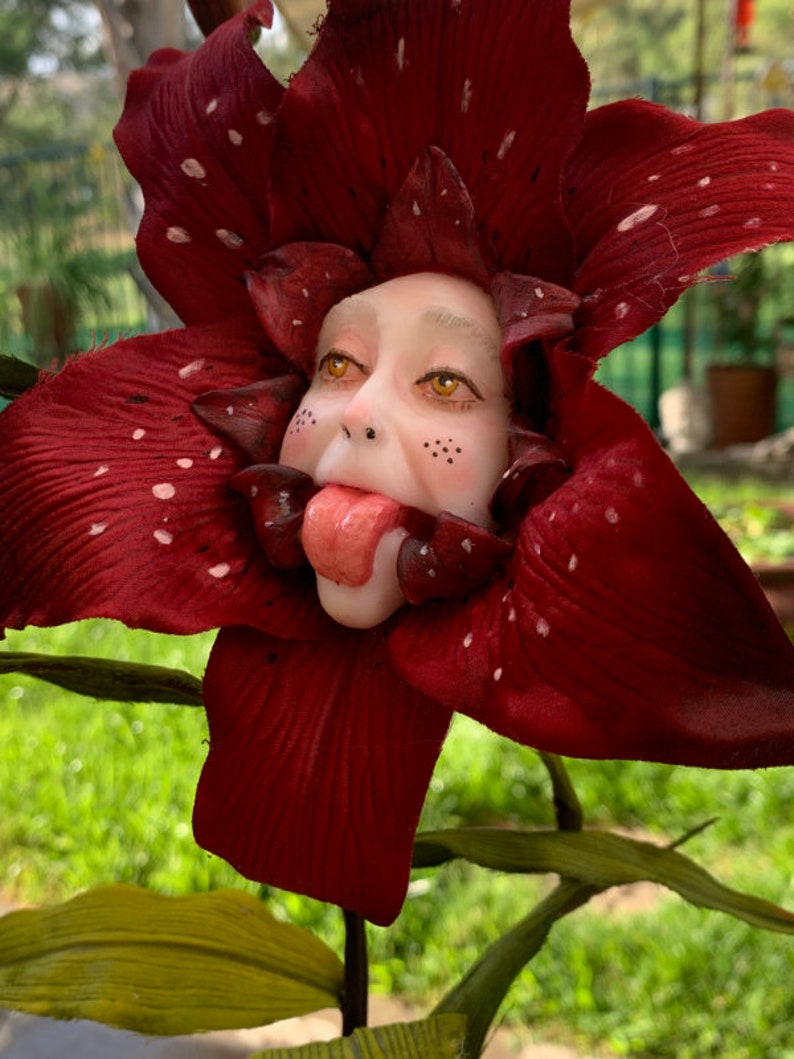 Fiori Di Alice Nel Paese Delle Meraviglie