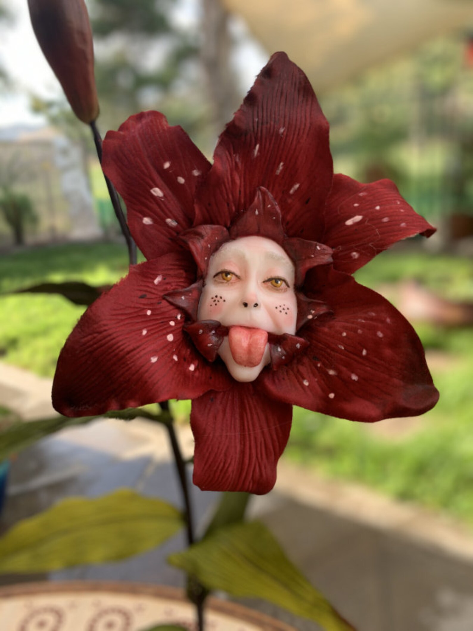 Fiori Di Alice Nel Paese Delle Meraviglie