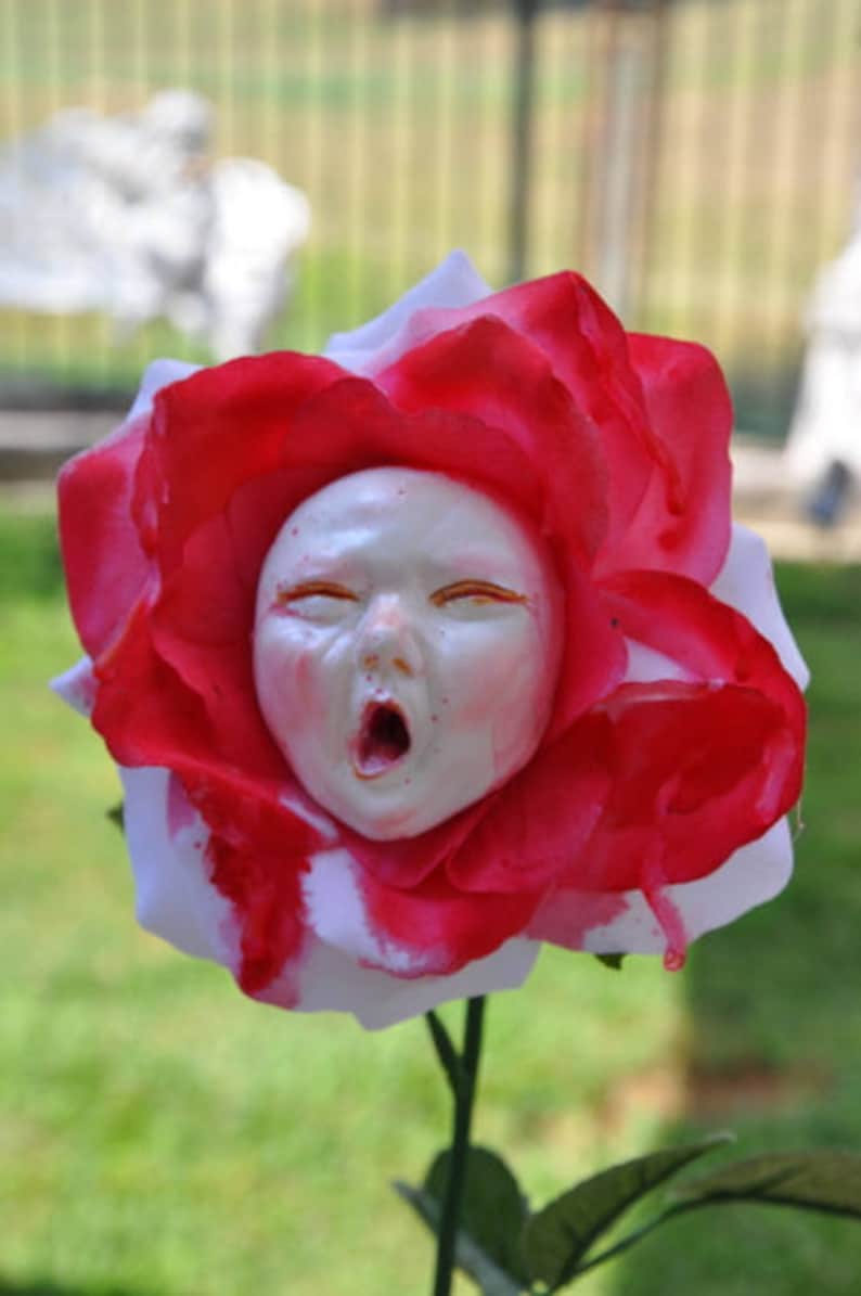 Fiori Di Alice Nel Paese Delle Meraviglie