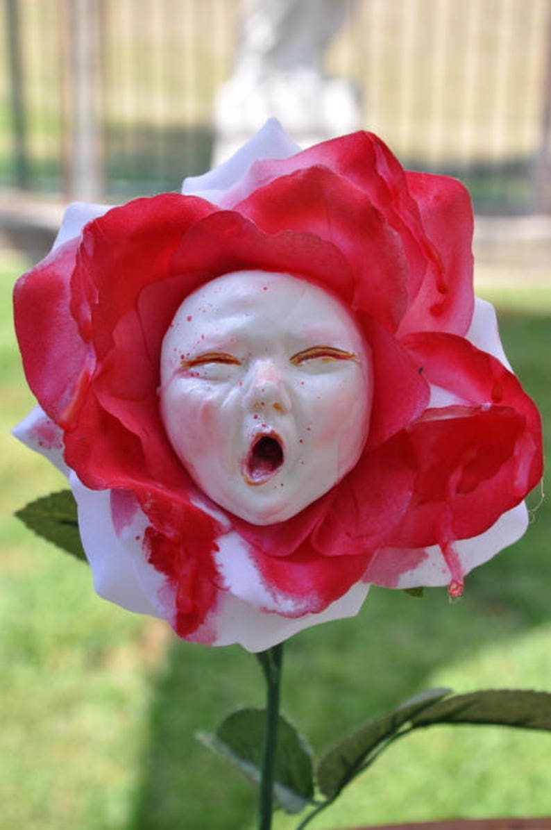 Fiori Di Alice Nel Paese Delle Meraviglie