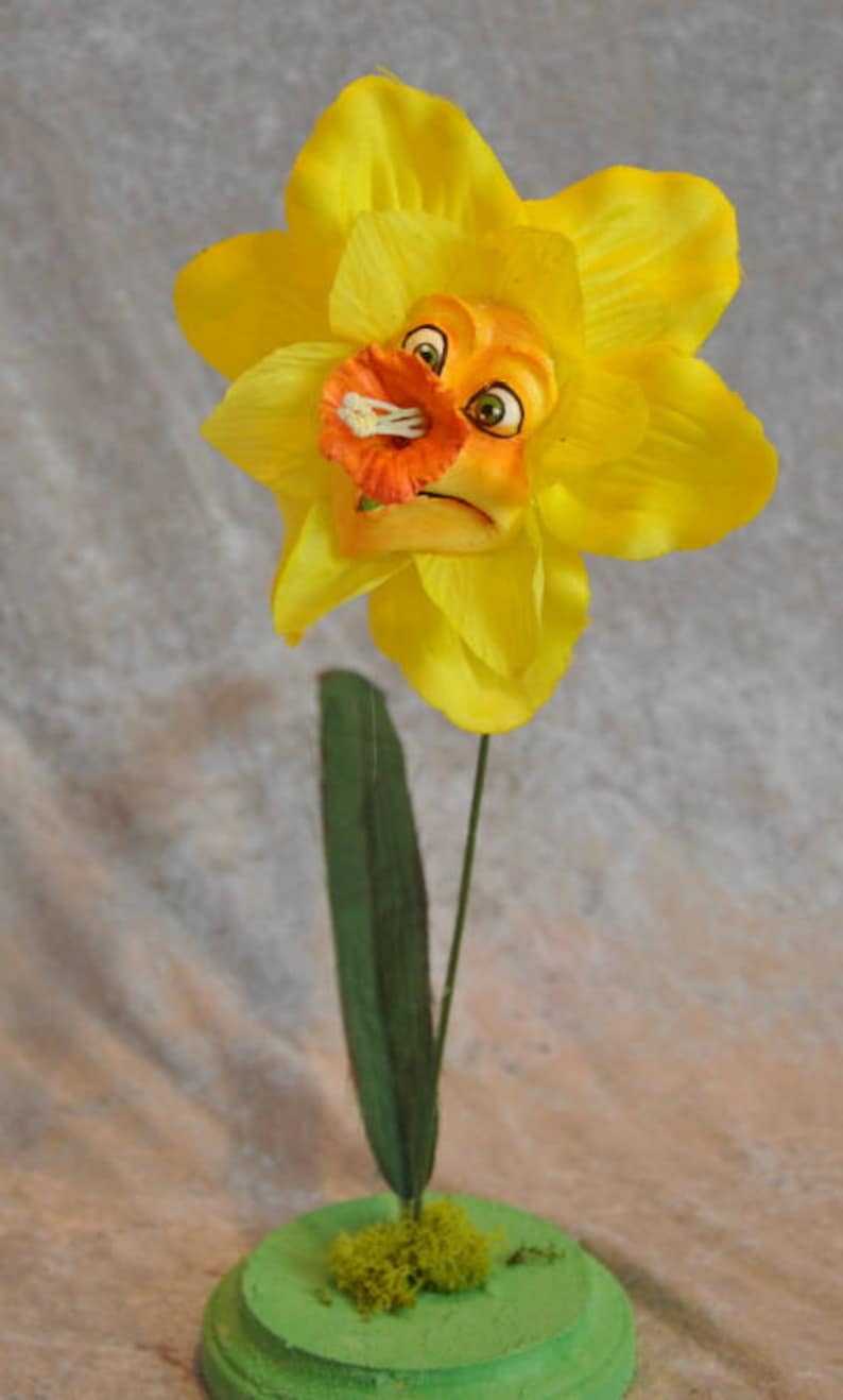 Fiori Di Alice Nel Paese Delle Meraviglie