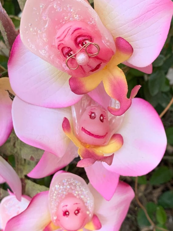 Alice in Wonderland(non) Talking Flowers Lil Oyster on Orchids