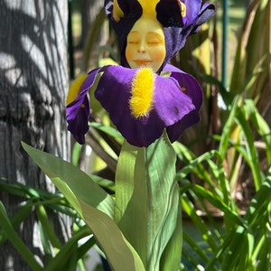 Puede incluir: Una flor de iris púrpura y amarilla con una cara caprichosa esculpida en los pétalos. La flor está en un jardín con follaje verde.