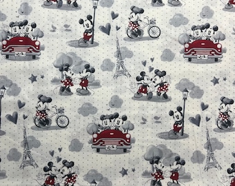 Customized, Personalized Children's/Pet Blanket - Mickey and Minnie in Paris