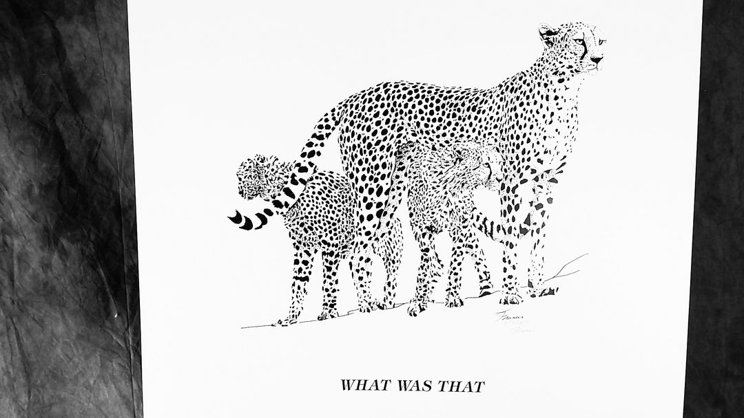 Cheetah Art, Cheetah Lithograph Picture, Black and White Cheetah, Art