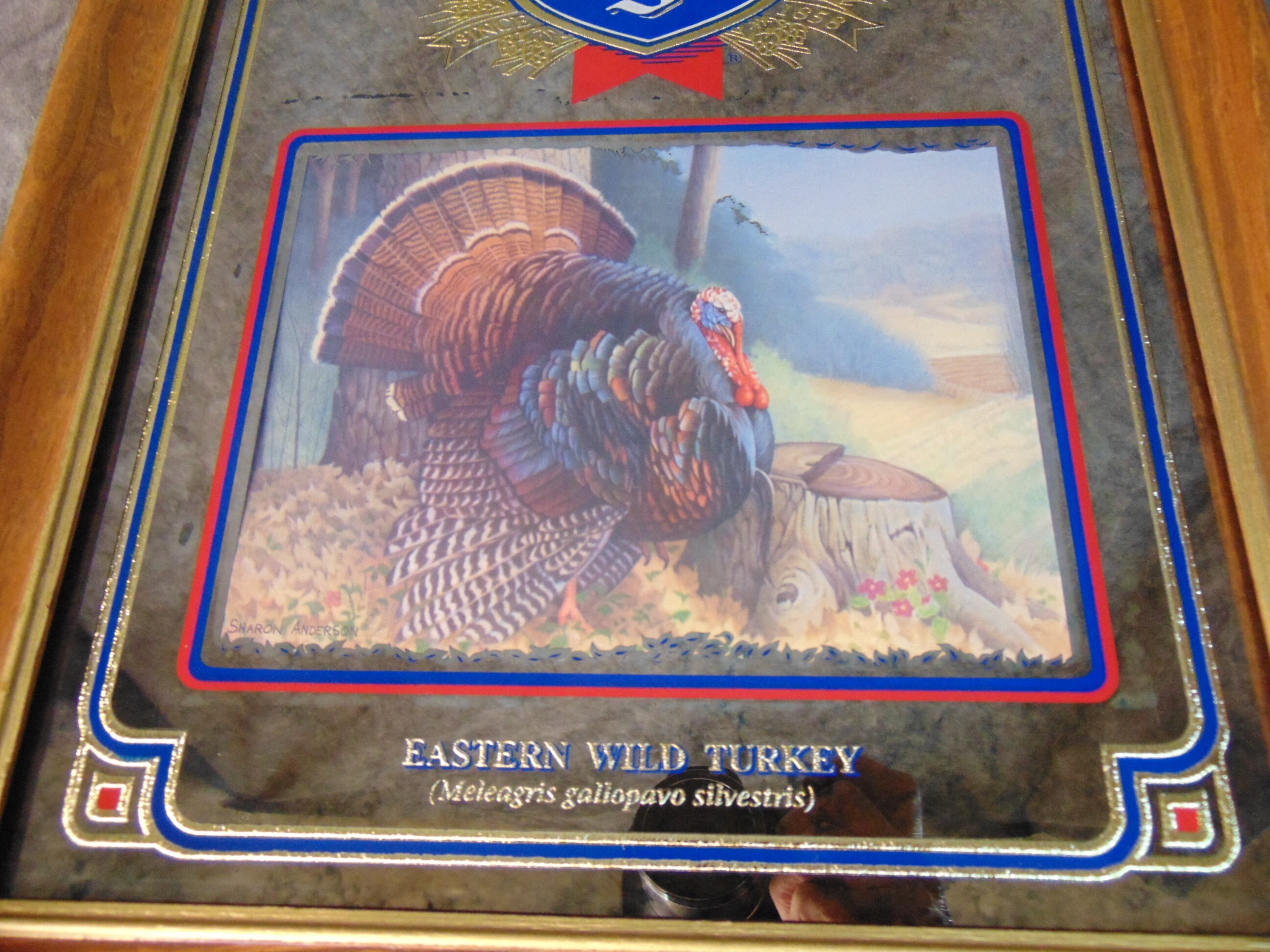 グランドセイコー セール Old New Style Bar Turkey Wild Series, Wildlife the in Third 鏡