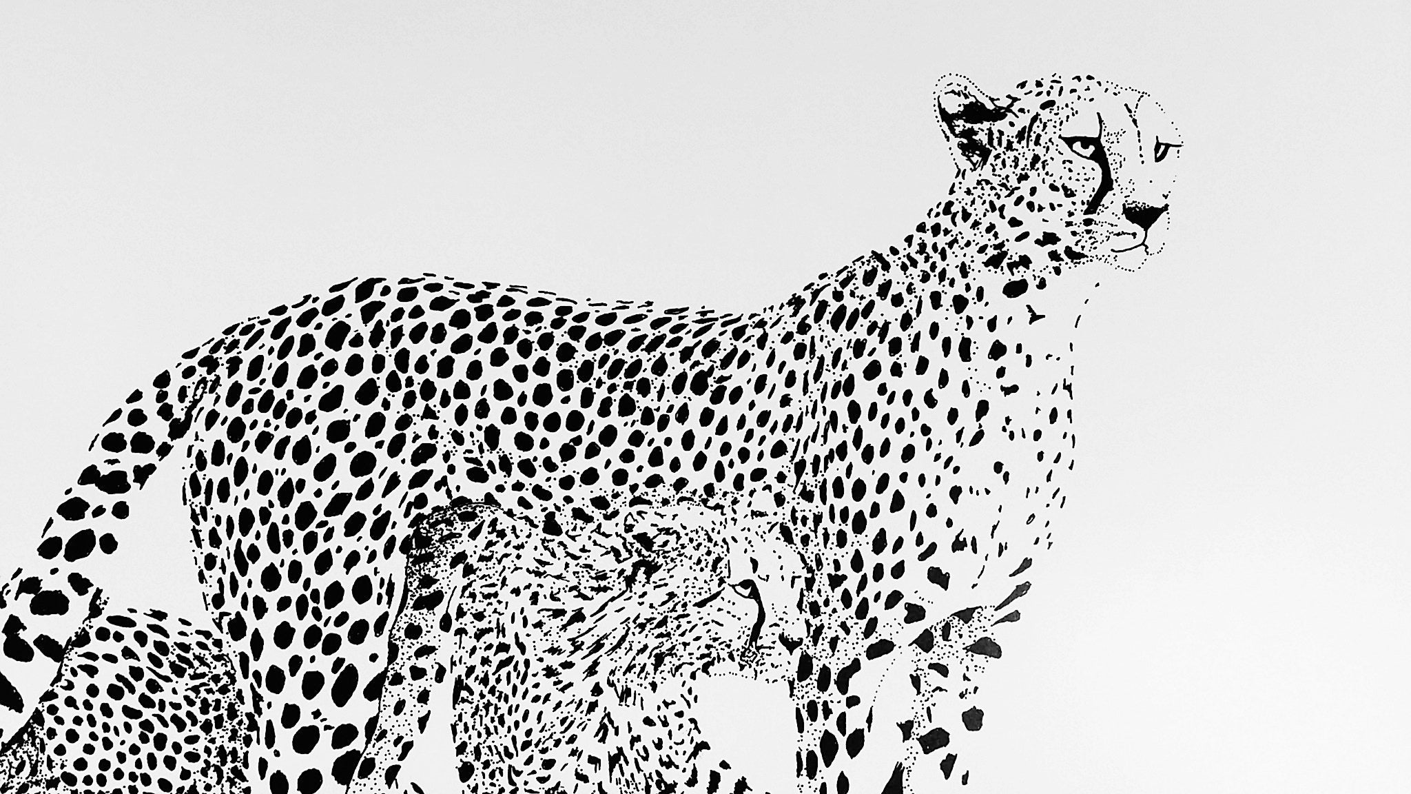 black and white cheetah painting