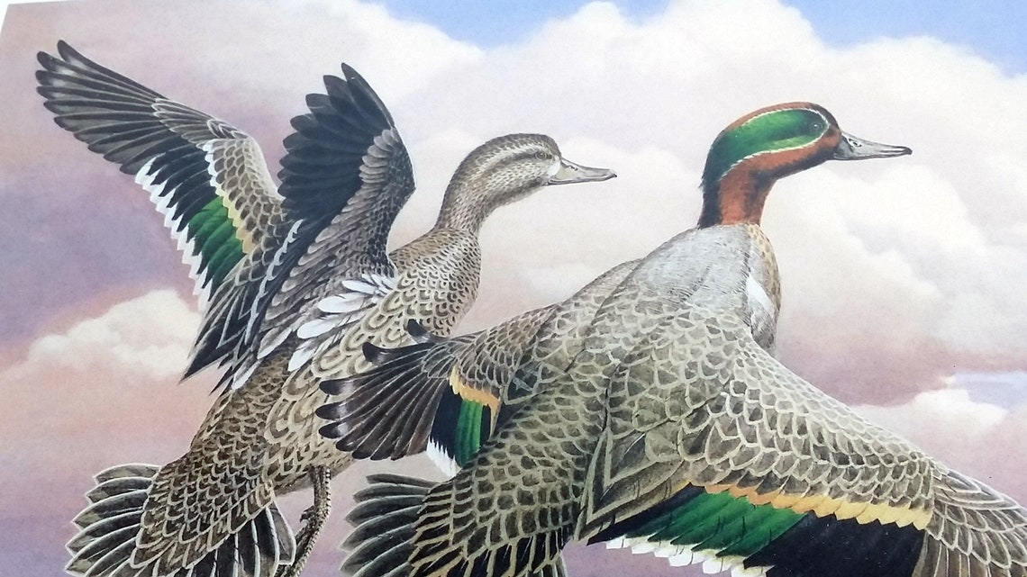 1987 Kansas Waterfowl Stamp Print Kansas Medallion Edition Etsy