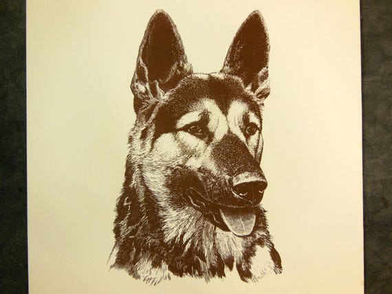 purina german shepherd