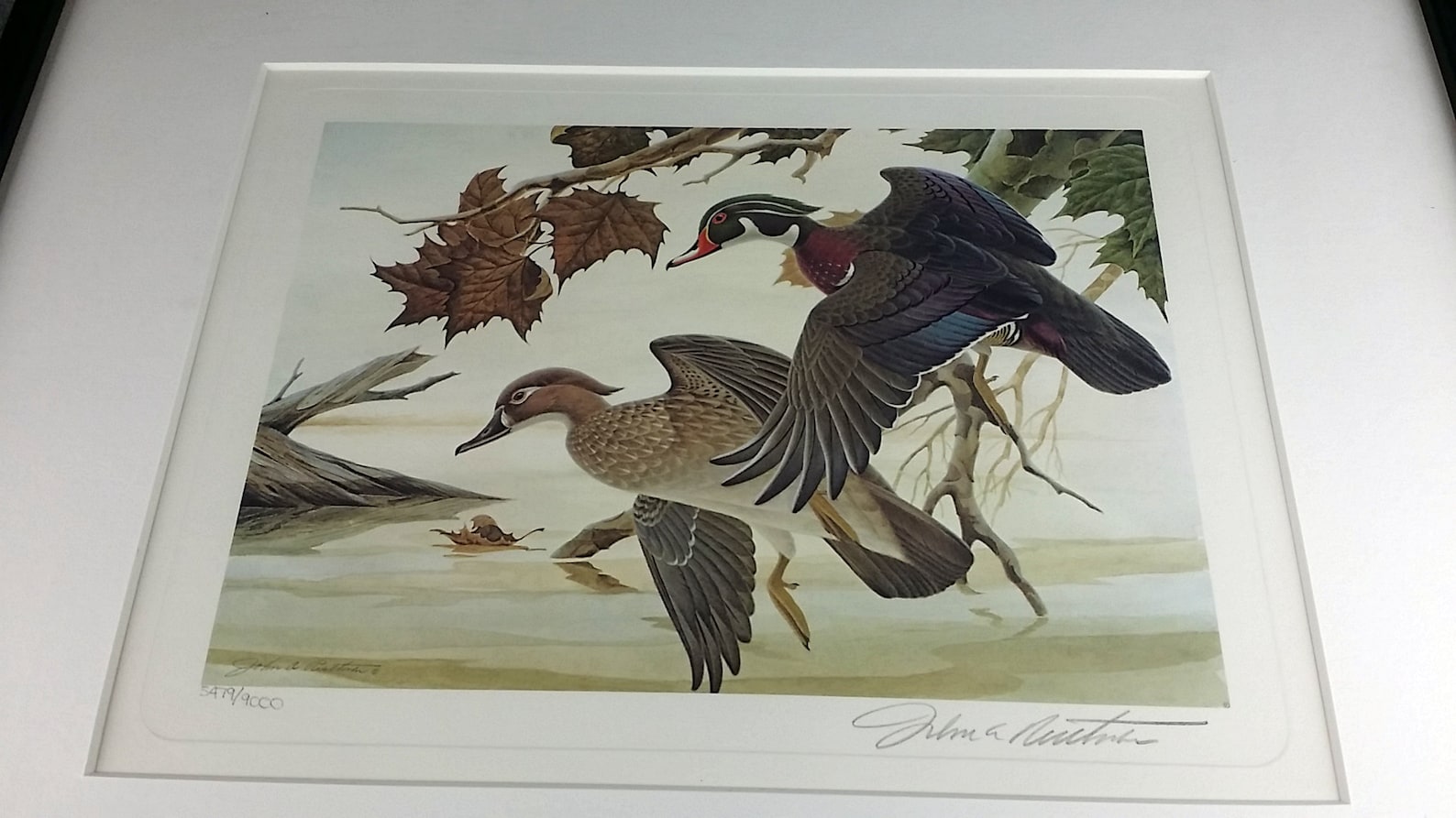 1983 Ohio Wetlands Habitat Stamp Print John Ruthven Art Etsy