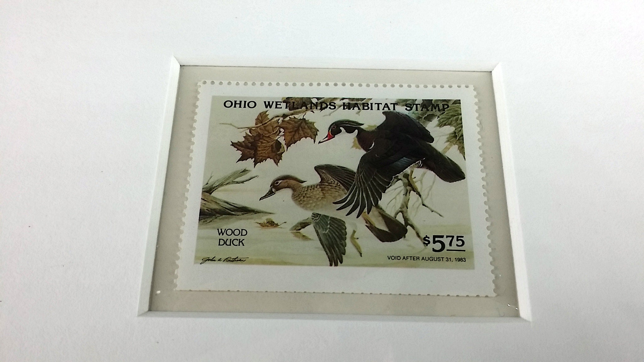 1983 Ohio Wetlands Habitat Stamp Print John Ruthven Art Etsy