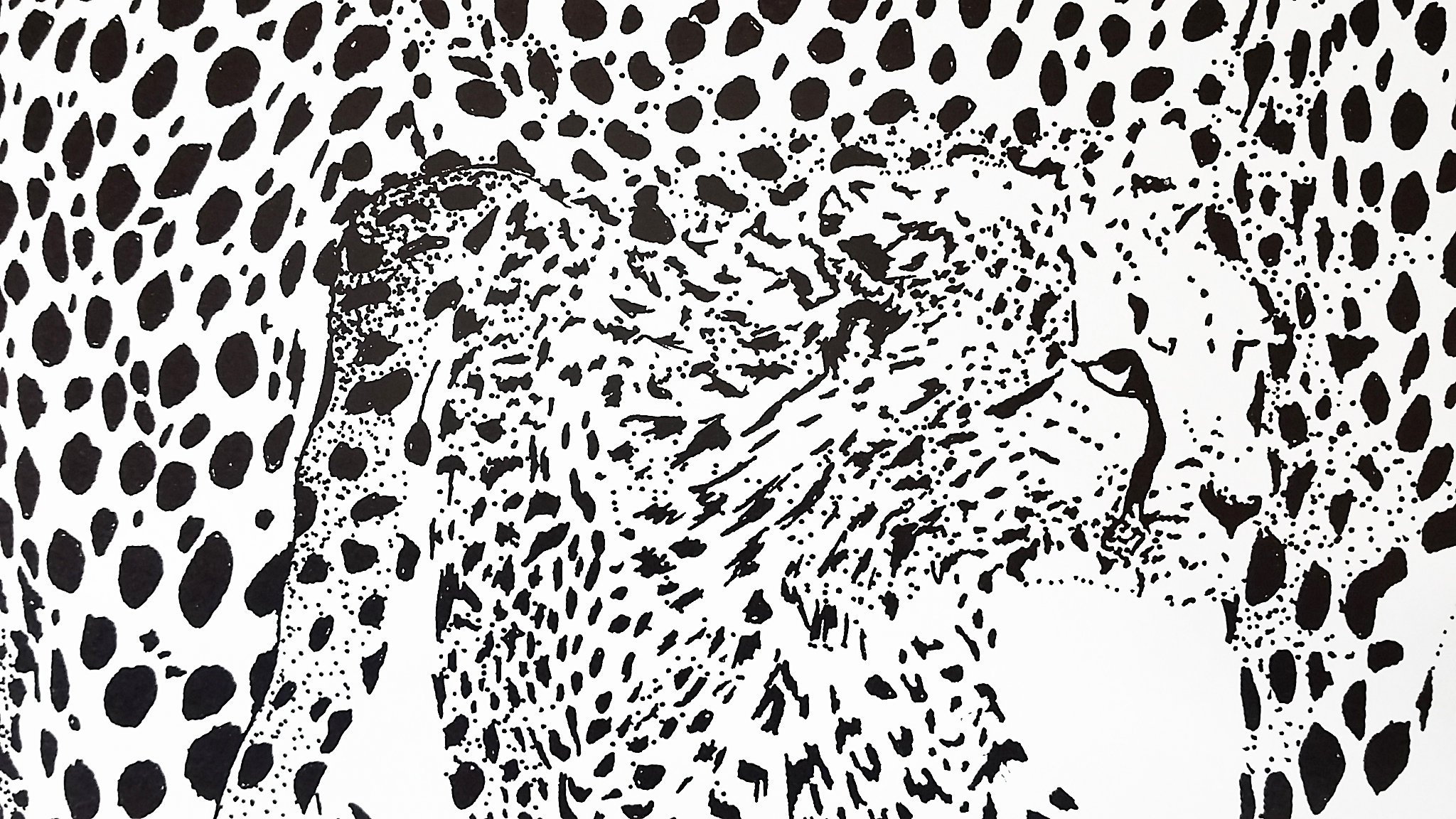Cheetah Art Cheetah Lithograph Picture Black and White - Etsy